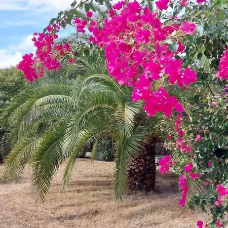 Holiday home Casita Higo
